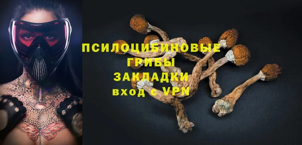 трава Арсеньев