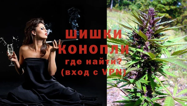 трава Арсеньев