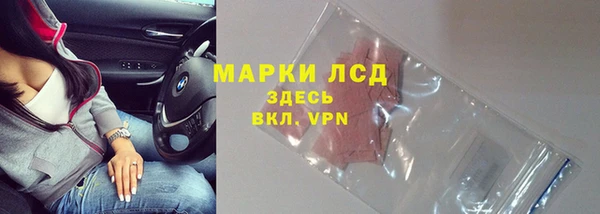 трава Арсеньев
