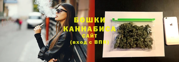 трава Арсеньев