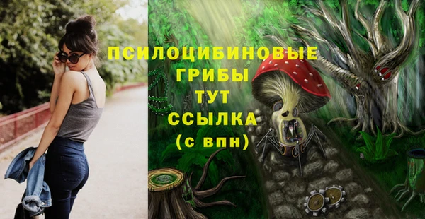 эйфоретик Армянск