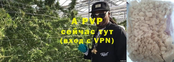 трава Арсеньев