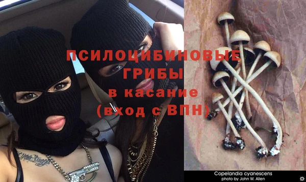 эйфоретик Армянск
