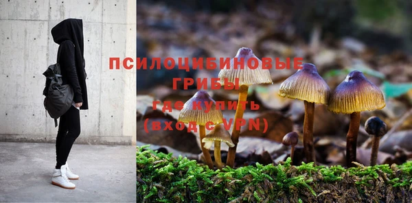 эйфоретик Армянск