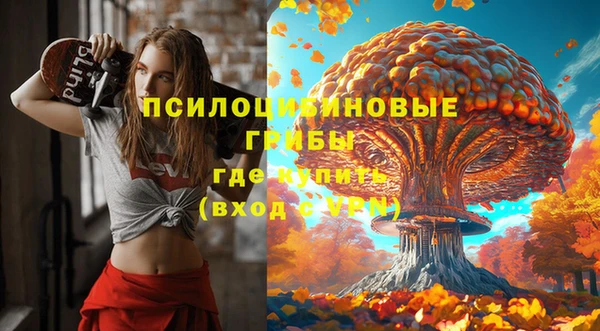 трава Арсеньев