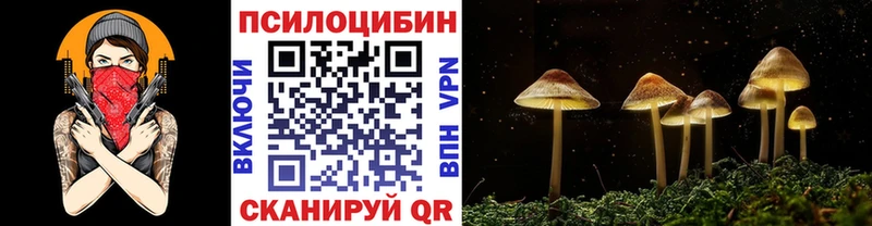 Галлюциногенные грибы Psilocybine cubensis  дарк нет клад  Сурск 